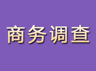 泾阳商务调查